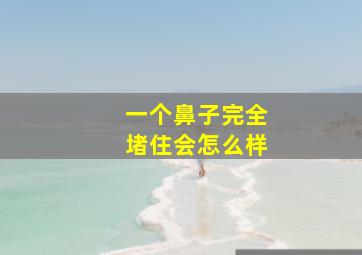 一个鼻子完全堵住会怎么样