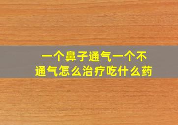 一个鼻子通气一个不通气怎么治疗吃什么药