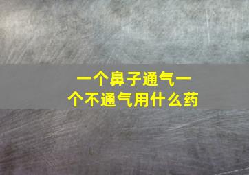 一个鼻子通气一个不通气用什么药