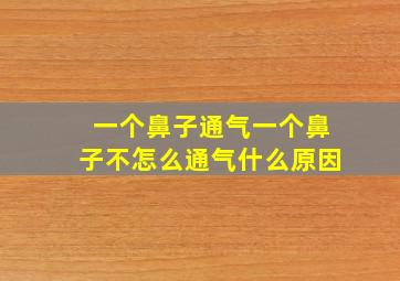 一个鼻子通气一个鼻子不怎么通气什么原因