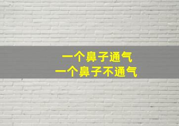 一个鼻子通气一个鼻子不通气