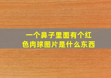 一个鼻子里面有个红色肉球图片是什么东西