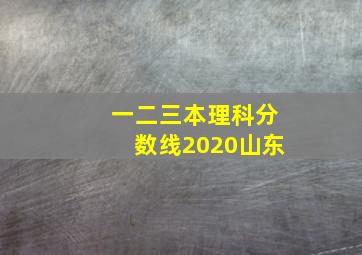 一二三本理科分数线2020山东