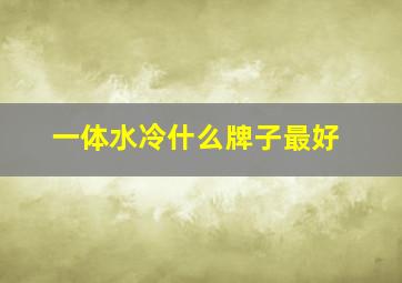 一体水冷什么牌子最好