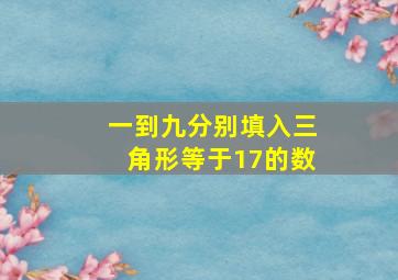 一到九分别填入三角形等于17的数