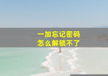 一加忘记密码怎么解锁不了