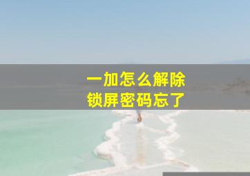 一加怎么解除锁屏密码忘了