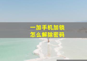 一加手机加锁怎么解除密码