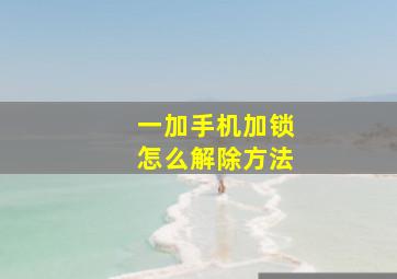 一加手机加锁怎么解除方法