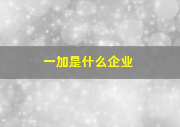 一加是什么企业