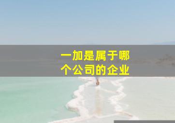 一加是属于哪个公司的企业