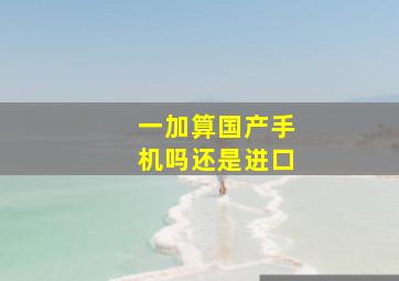 一加算国产手机吗还是进口