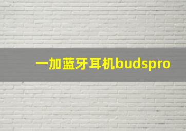 一加蓝牙耳机budspro