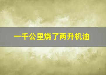 一千公里烧了两升机油