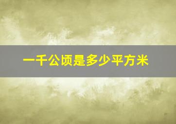 一千公顷是多少平方米