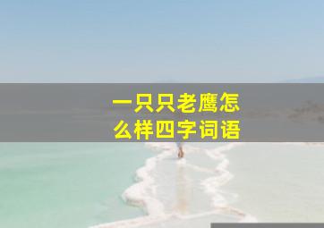 一只只老鹰怎么样四字词语