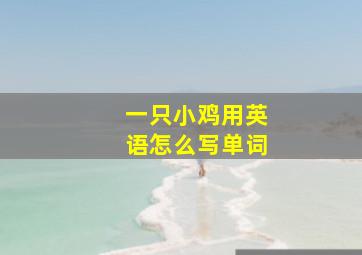 一只小鸡用英语怎么写单词