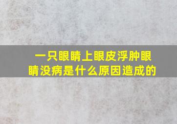 一只眼睛上眼皮浮肿眼睛没病是什么原因造成的