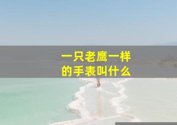 一只老鹰一样的手表叫什么