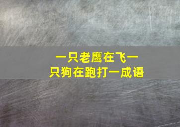 一只老鹰在飞一只狗在跑打一成语