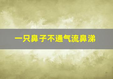 一只鼻子不通气流鼻涕