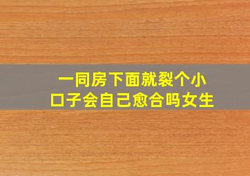 一同房下面就裂个小口子会自己愈合吗女生