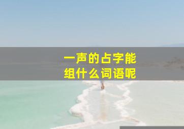 一声的占字能组什么词语呢