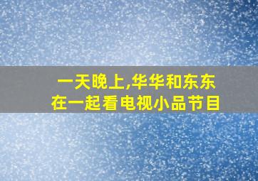 一天晚上,华华和东东在一起看电视小品节目