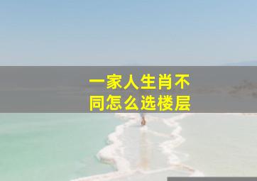 一家人生肖不同怎么选楼层