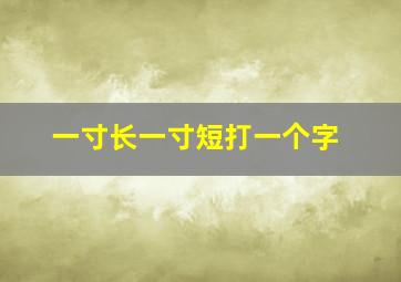 一寸长一寸短打一个字