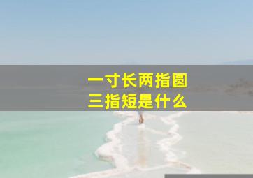 一寸长两指圆三指短是什么