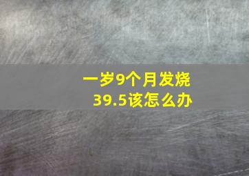 一岁9个月发烧39.5该怎么办