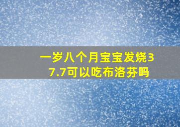 一岁八个月宝宝发烧37.7可以吃布洛芬吗