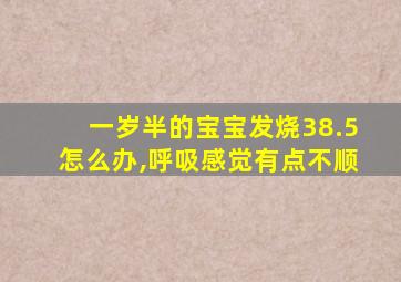 一岁半的宝宝发烧38.5怎么办,呼吸感觉有点不顺