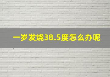 一岁发烧38.5度怎么办呢