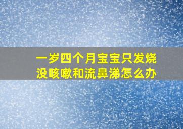 一岁四个月宝宝只发烧没咳嗽和流鼻涕怎么办