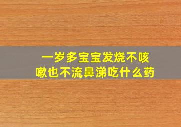 一岁多宝宝发烧不咳嗽也不流鼻涕吃什么药