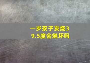 一岁孩子发烧39.5度会烧坏吗