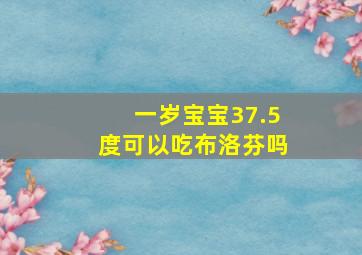 一岁宝宝37.5度可以吃布洛芬吗