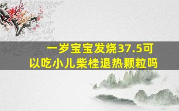 一岁宝宝发烧37.5可以吃小儿柴桂退热颗粒吗