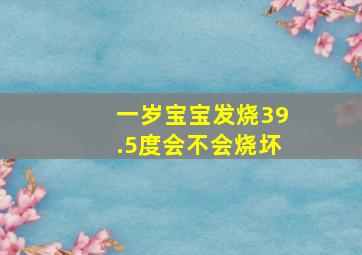 一岁宝宝发烧39.5度会不会烧坏