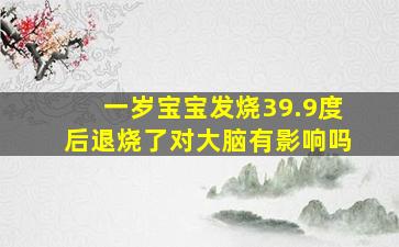 一岁宝宝发烧39.9度后退烧了对大脑有影响吗