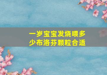 一岁宝宝发烧喂多少布洛芬颗粒合适