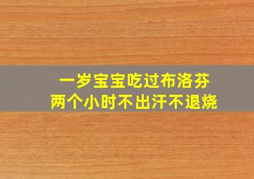 一岁宝宝吃过布洛芬两个小时不出汗不退烧