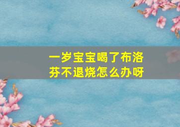 一岁宝宝喝了布洛芬不退烧怎么办呀