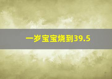 一岁宝宝烧到39.5