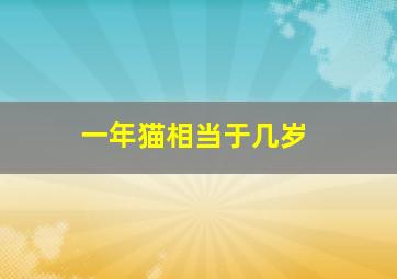 一年猫相当于几岁