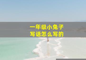 一年级小兔子写话怎么写的