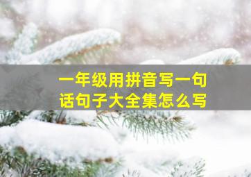 一年级用拼音写一句话句子大全集怎么写