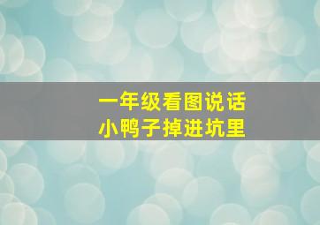 一年级看图说话小鸭子掉进坑里